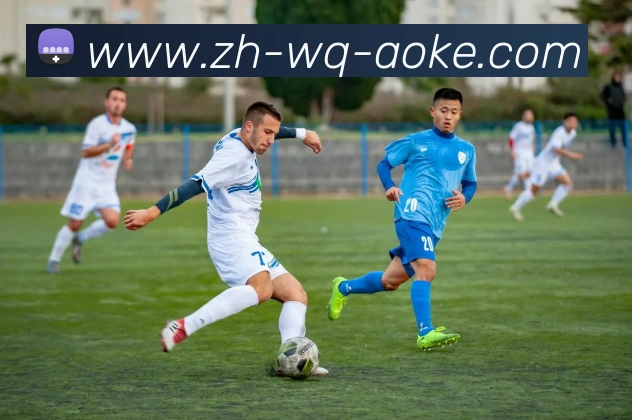 多媒体互动体验