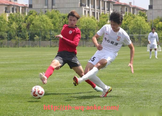 澳客足彩-英超狼队最新引援球员名单及实力评估