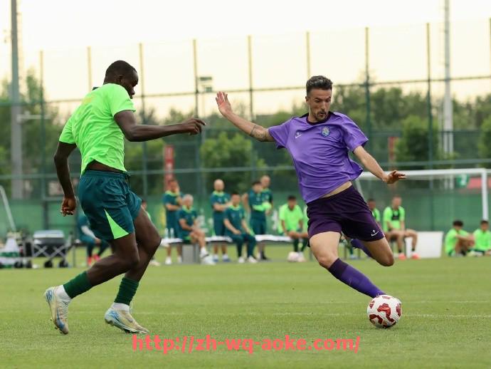 澳客足彩-西甲与德甲球队的关系：两大联赛的交互与竞争