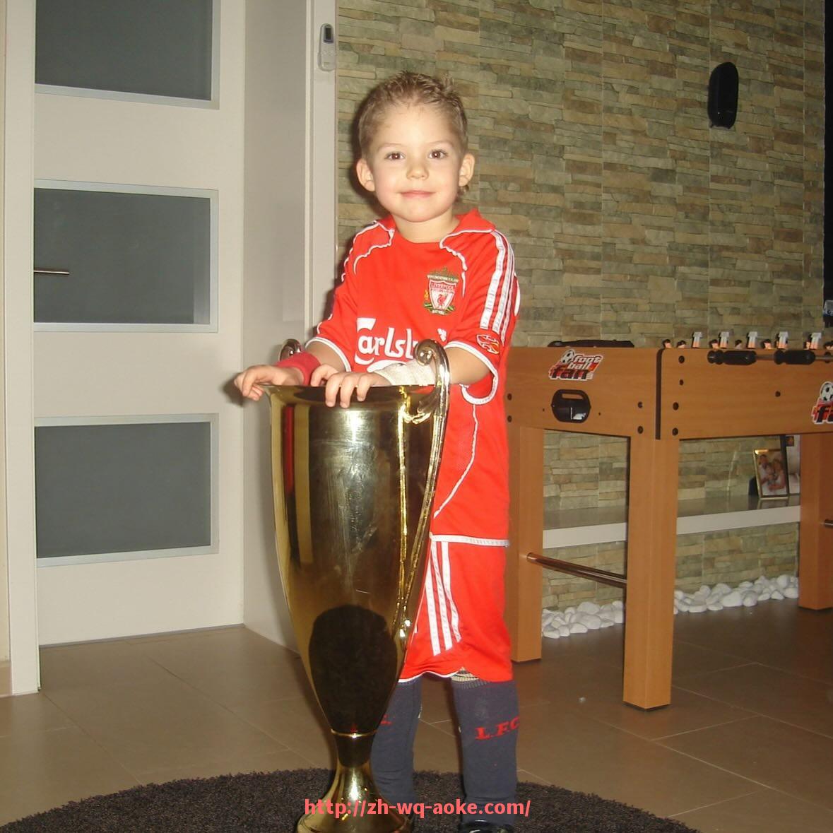 澳客足彩-世俱杯商业合作合同条款管理的流程与风险防范